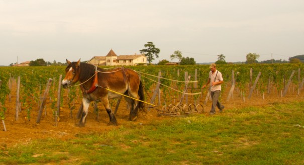 horseploughing