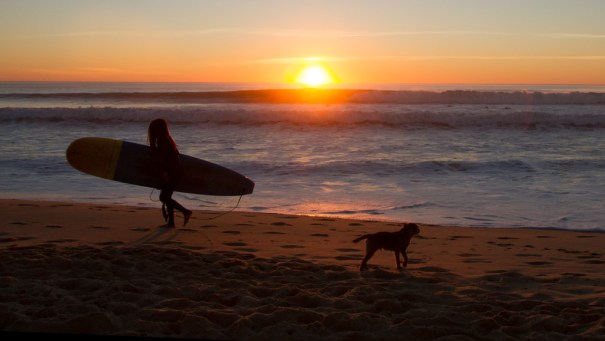 surferdog1