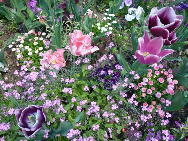 Flower Beds near the Cathedral St Pierres