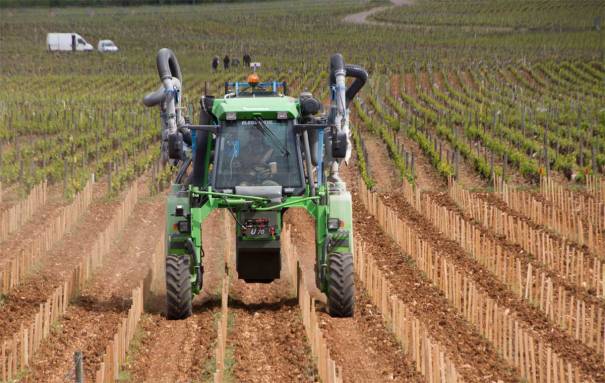 On the Straight and Narrow