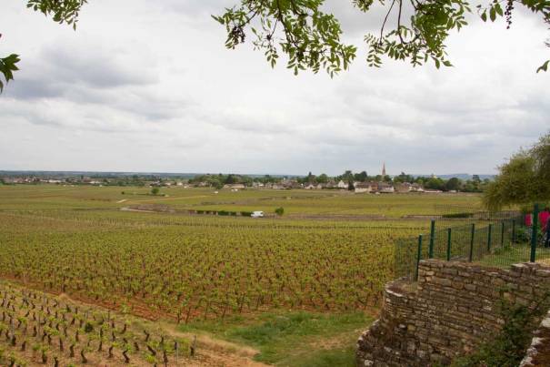 Looking South from the Campsite