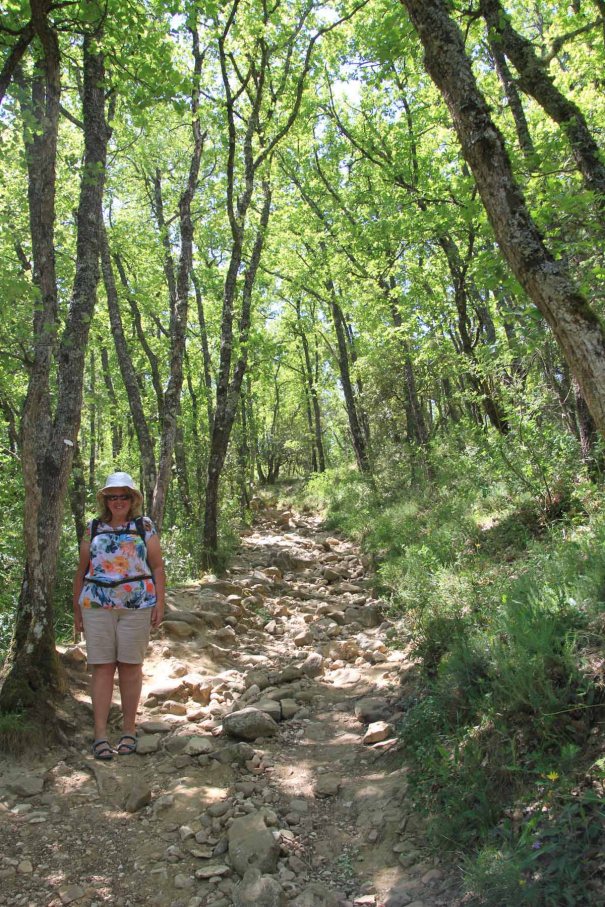 Path to the Ochre Walk.