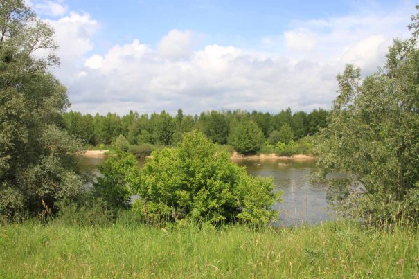 View from 'La Loire à Vélo'.