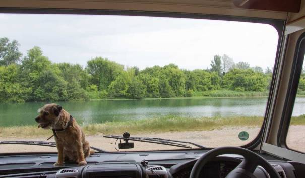 View from the Living Room Window.