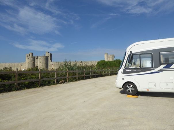 Mavis outside the east wall.