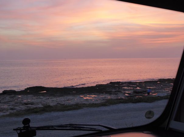 View from the Window