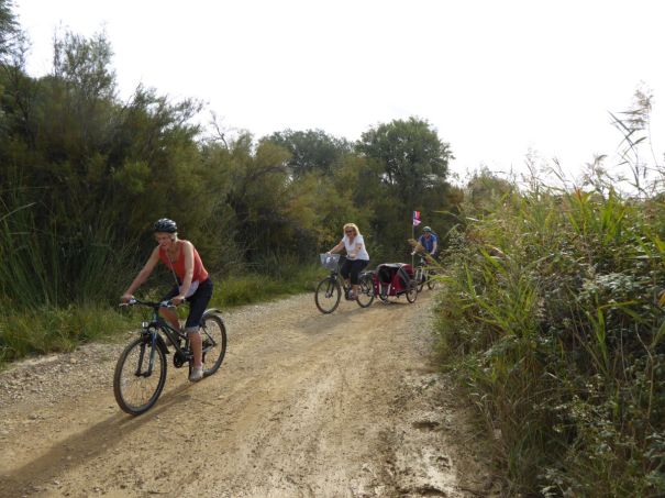 Track around the Lake