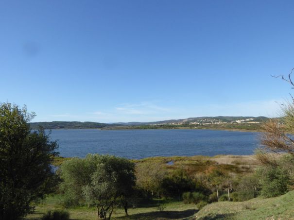 Étang de Bages-Sigean, from the campsite.