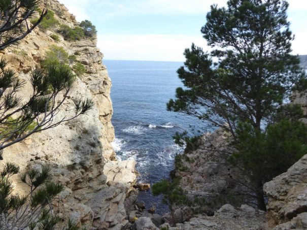 Small Cove along the Way