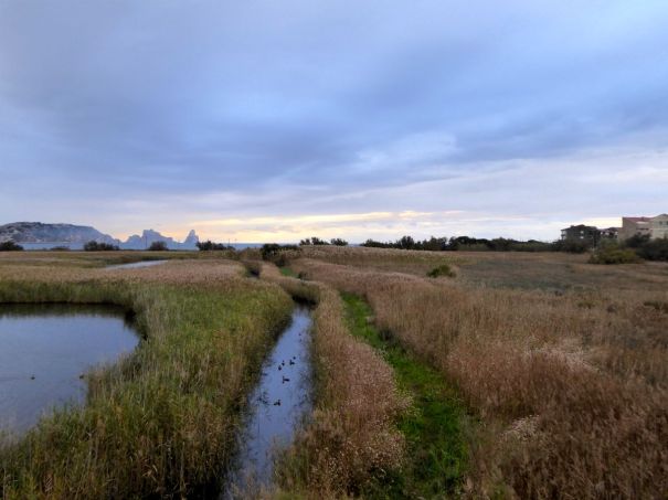 Looking east from the Hide