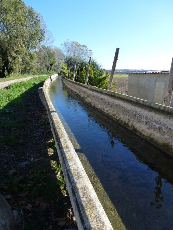 Irrigation for Rice Paddies.