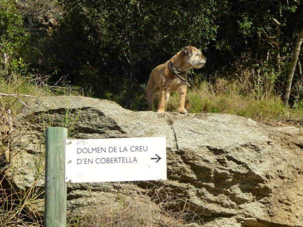 The Path to the Dolmen