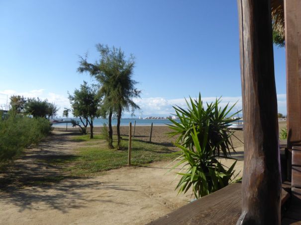 View from our Dining Room Window