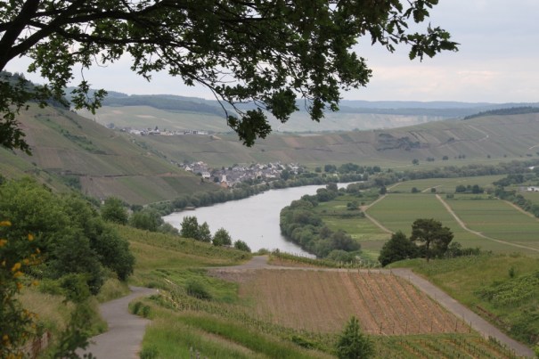 Looking down on Kesten, and the vine covered slopes of the valley.