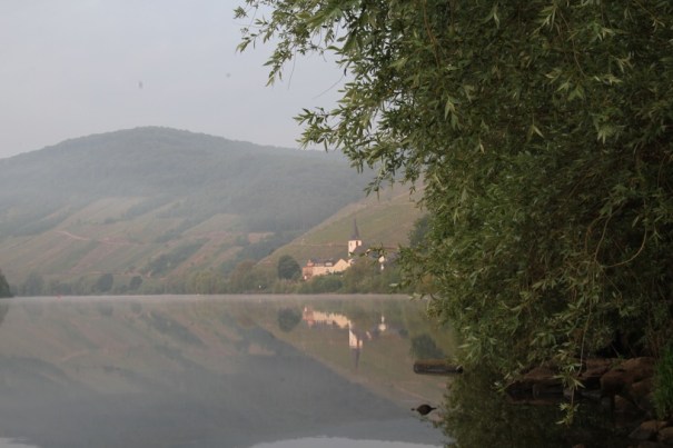 5. Early Morning Light on the Moselle