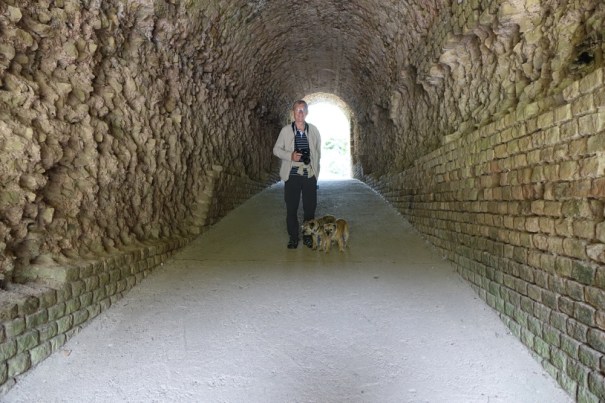 31. The Amphitheatre..Entrance to the stalls