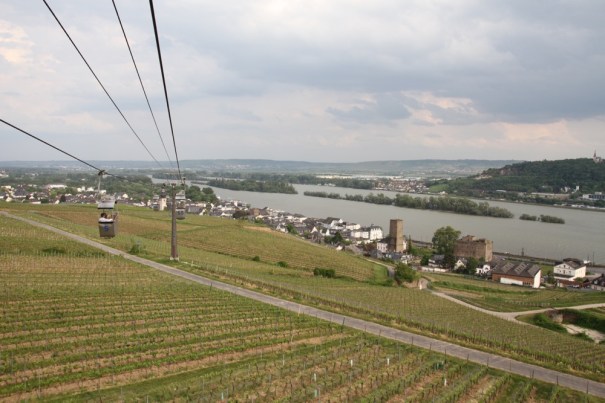 Rhine from the Cable Car 