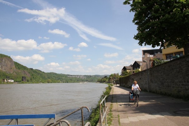The Rhine