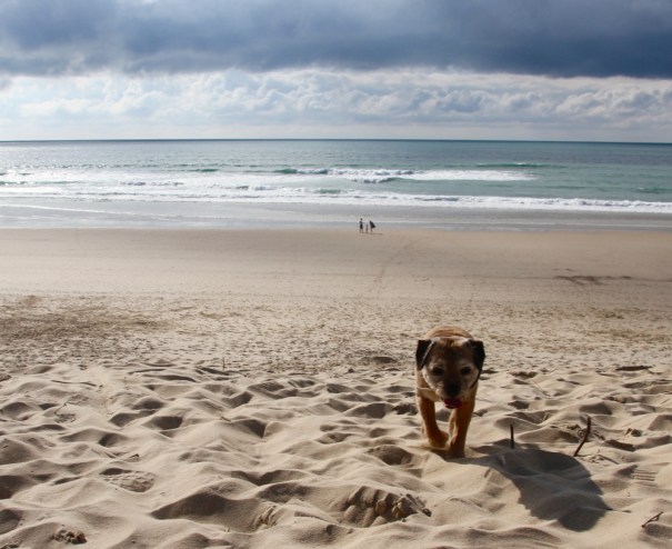 Hourtin Plage....The Beach