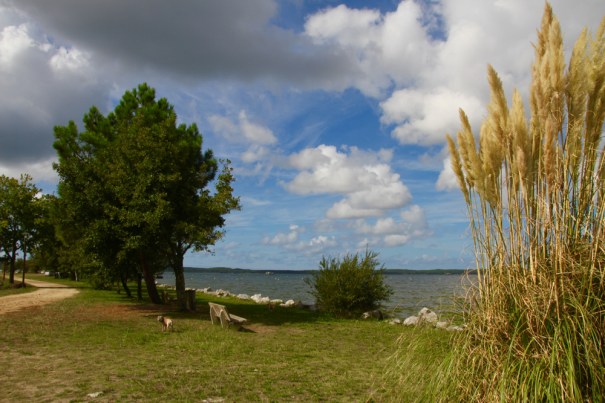 Etang de Biscarosse Parentis 