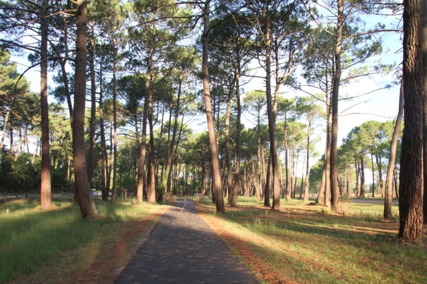 Cycle Track to Port Maguide