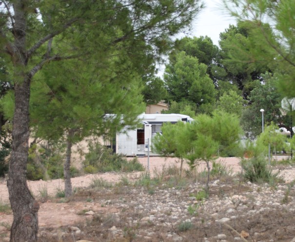 Mavis at Camping Valencia