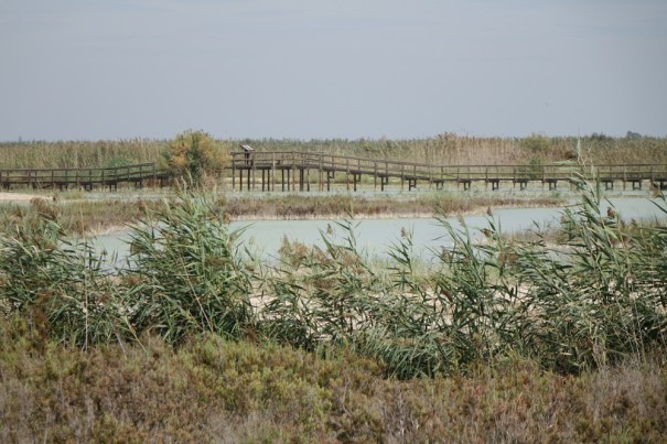 Nature Reserve