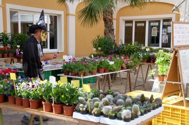 English Market at Marjal