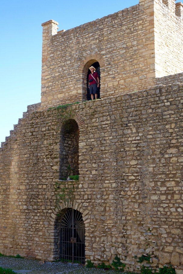 Xijara Walls