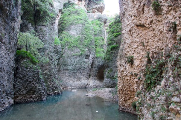 From the Foot of the Water Mine