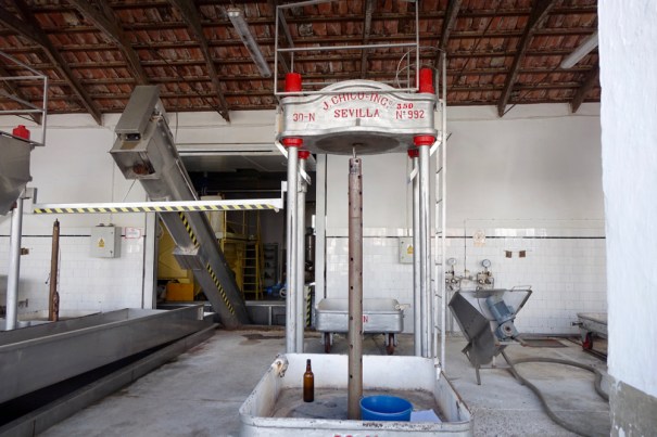 Pedro Ximenez Bodega