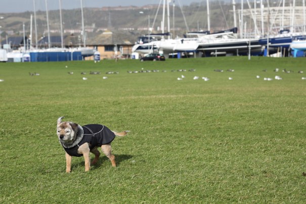Colin at Port Solent