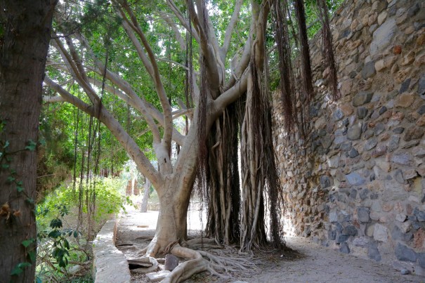 Walk up to the Castillo