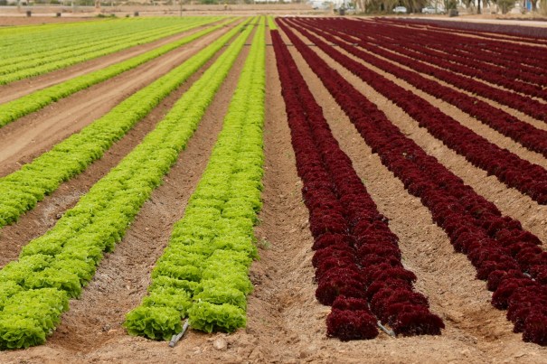 En route to San Javier