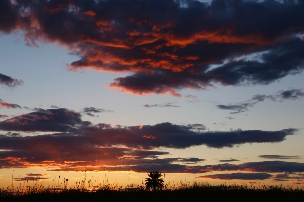 Sunset over the Reserve