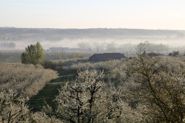 Morning mists at Monteton